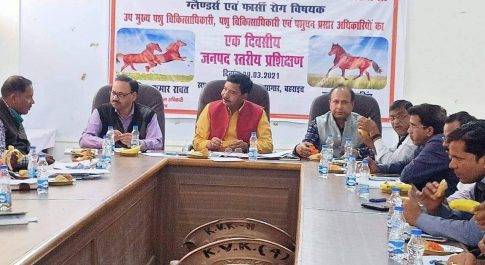 अश्व प्रजाति के लिए जानलेवा है ग्लैण्डर्स एवं फार्सी रोग: सी.वी.ओ.