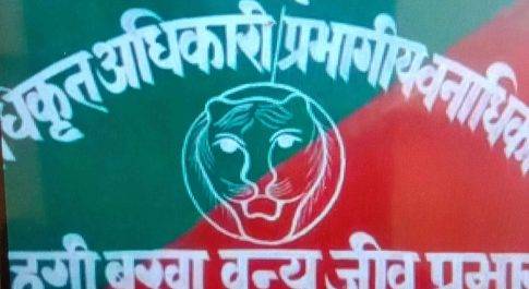महराजगंज। सारसों को भा रहा सोहगीबरवा वन क्षेत्र, बढ़ती जा रही तादात