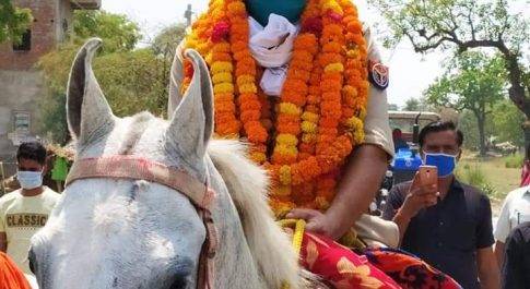 जौनपुर।जंघई चौकी इंचार्ज अजय कुमारमिश्रा को घोड़े पर बैठा कर लोगो ने किया विदा । जंघई से हुआ नैनी तबादला।