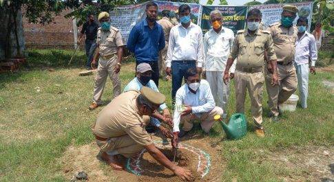 विश्व पर्यावरण दिवस पर चन्द्रा पब्लिक स्कूल के प्रांगण हुआ वृक्षारोपण
