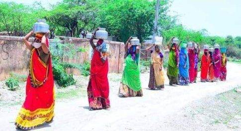 आदिवासी भील महिला समूह ने 1500 पौधों को बचाने मे जुटा