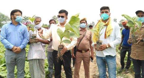 डीएम ने टेड़वा बसन्तपुर नर्सरी का किया निरीक्षण