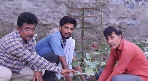 मददगार वेलफेयर फाउंडेशन के जिला अध्यक्ष धर्मेंद्र शर्मा ने लगाए पेड़ पौधे