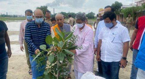 मानव जीवन के अस्तित्व के लिए वृक्षों का बड़ा महत्व : मुकुट बिहारी
