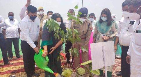 नोडल अधिकारी ने पौधरोपण कर दिया पर्यावरण संरक्षण का संदेश