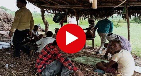 सुजौली में खुलेआम लग रहा जुए का फड़, पुलिस मौन