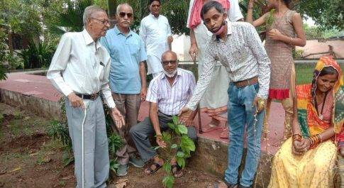 सुभाष नगर पार्क में पेड़ पौधे लगाए गए