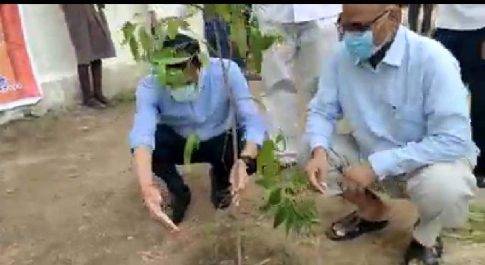 कलेक्टर शीलेन्द्र सिंह ने शासकीय उत्कृष्ट उमा विद्यालय क्रमांक 1 में छात्र-छात्राओं के साथ पौधरोपण किया