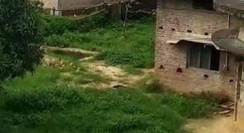 ग्राम प्रधान पंचायत सचिव पर सांठ गाँठ कर पंचायत भवन प्रधान के घर की चहार दिवारी के अंदर पंचायत भवन बनाए जाने का आरोप लगाकर ग्रामीणों ने जिलाधिकारी को प्रार्थना पत्र देकर गाँव मध्य में पंचायत भवन निर्माण की रुकवाने की माँग की है