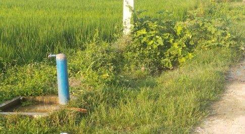 ग्रामीण क्षेत्रों में गांव व.रोड पर घूर गढ्ढा मे मैला फेकने से होती हैं गन्दगी
