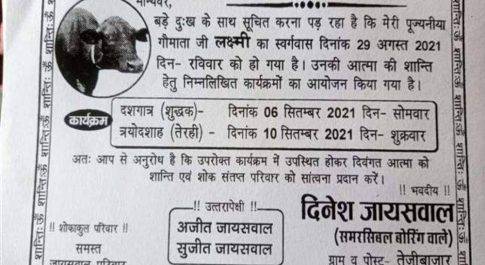 गौमाता का हुआ स्वर्गवास, तेरही के लिए बाटा जा रहा है निमंत्रण कार्ड