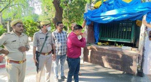 तेंदुए को सुरक्षित पकड़ने पर टीम को डीएम ने दी बधायी