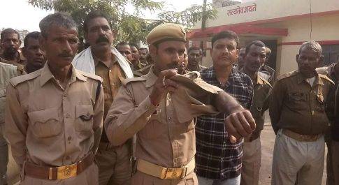 थाना परिसर में होमगार्ड जवानों द्वारा थाना प्रभारी के विरुद्ध किए गए धरना प्रदर्शन को लेकर, अपर पुलिस अधीक्षक ग्रामीण अशोक कुमार का थाने का दौरा