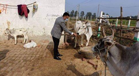 अस्थाई गौ आश्रय स्थल कटरा बहादुरगंज का डीएम ने किया निरीक्षण बेहतर संचालन के लिए अधिकारियों व ग्राम प्रधान का प्रयास सराहनीय : डीएम