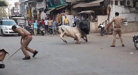 नगर निगम की लापरवाही बन रही आम नागरिकों की जान के लिए ख़तरा