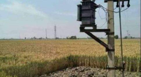 विद्युत विभाग ने फसलों को आग से बचाने के लिए जारी की अपील