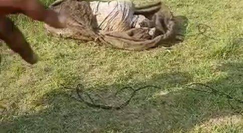 सात दिन से गायब युवक का बोरे में मिला शव, मुकदमा दर्ज