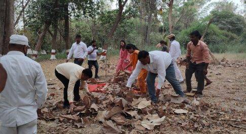 पराली व फसल अवशेष की बिक्री से अतिरिक्त आय अर्जित करें किसान: डीएम कलेक्ट्रेट व आवास से सूखी पत्तियों की बिक्री, डीएम की अभिनव पहल