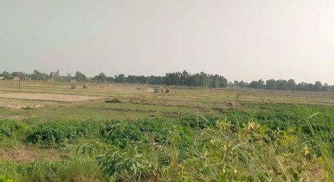 रुपईडीहा थाना क्षेत्र में अवैध मिट्टी खनन का कार्य जोरों पर
