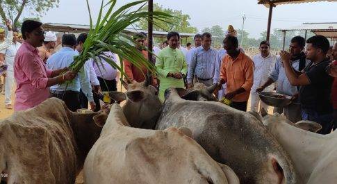 गो-आश्रय स्थल परसेण्डी का श्रम मंत्री अनिल राजभर ने किया निरीक्षण