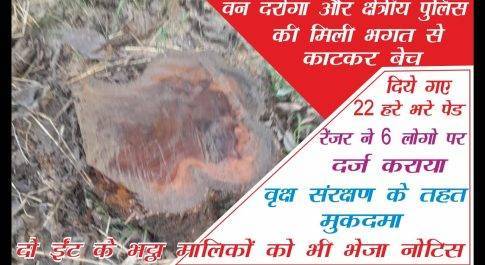 वन दरोगा और क्षेत्रीय पुलिस की मिली भगत से काटे गए 22 हरे भरे पेड़ रेंजर ने 6 लोगो पर लिखवाया मुकदमा