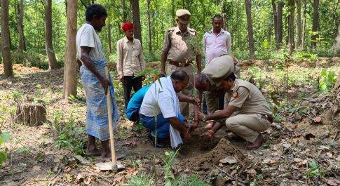 वन सहोत्सव के अवसर पर अब्दुल्लागंज रेंज में वृक्षारोपण किया गया