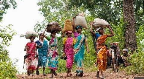 वन संरक्षण कानून के नियमों में बदलाव का विरोध किया किसान सभा ने, कहा : कॉरपोरेटों के हाथों वन संसाधनों को सौंपने और आदिवासियों के अस्तित्व को खत्म करने की कोशिश