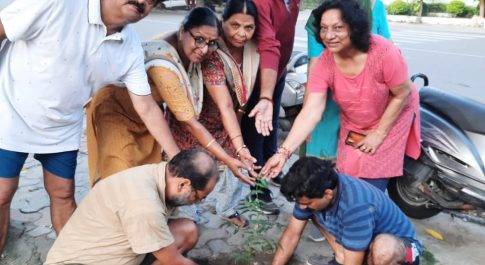 सेव अर्थ चैरिटेबल ट्रस्ट के तत्वधान में किया गया पौधारोपण