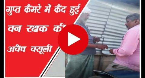 गुप्त कैमरे में कैद हुई वन रक्षक की अवैध वसूली ,रेंजर सहित DFO भी दोषी को बचाने में जुटे