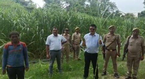 हरा चारा प्रबन्धन के लिए प्रदेश में अपनाया जायेगा जनपद का नेपियर घास मॉडल  डीएम डॉ. दिनेश चन्द्र के प्रयासों की प्रदेश के मुख्य सचिव ने की सराहना