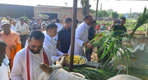 नैपियर घास की लहलहाती फसल देख कर लहालोट हुए उप मुख्यमंत्री ब्रजेश पाठक ,