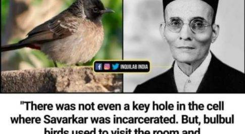 एक था वीर और एक थी बुलबुल