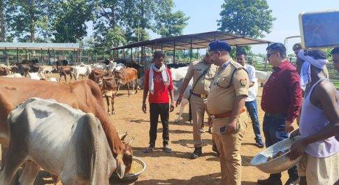 डीएम व एसपी ने गो आश्रय स्थल परसेण्डी का किया औचक निरीक्षण  गोवंशों को अपने हाथों से खिलाया हरा चारा व फल