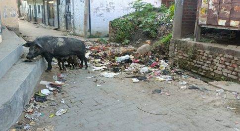 भारत नेपाल सीमावर्ती क्षेत्र में वायरल बुखार व डेंगू का कहर जारी जिम्मेदार मौन