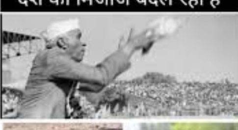 कबूतर बड़ा या चीता!