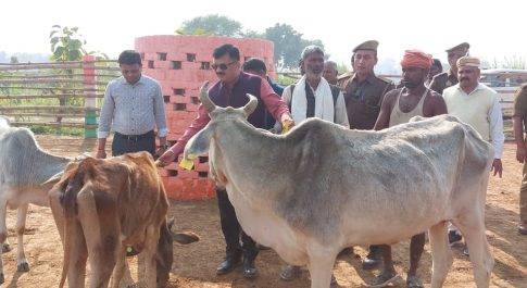 डीएम व एसपी ने किया परसेण्डी गौशाला का निरीक्षण