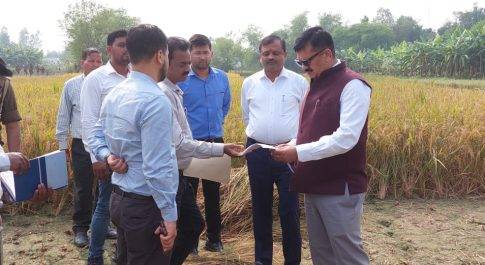 धान फसल की क्राप कटिंग के लिए ग्राम आदिलपुर पहुॅचे डीएम