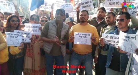 भारतीय क्षेत्रों से बड़े पैमाने पर हो रही है गोवंशो व अन्य प्रतिबंधित सामानों की तस्करी