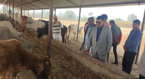 निर्माणाधीन वृहद गोआश्रय स्थल अचौलिया का डीएम ने किया औचक निरीक्षण  अस्थायी गो आश्रय स्थल पर गोवंशों के लिए किया श्रमदान