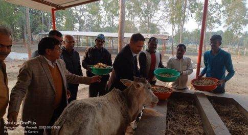 नोडल अधिकारी ने गोआश्रय स्थल परसेण्डी व कसेहरी बुज़ुर्ग का किया निरीक्षण