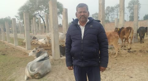 अव्यवस्थाओं पर आंसू बहा रहा है पचपकरी का गौशाला* *कमीशन के चक्कर में नहीं मिल रहा है चेक