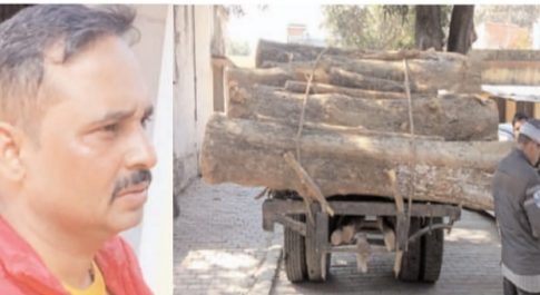 जंगल के कातिलों पर लगातार हो रही कार्यवाही ,क्षेत्रीय वन अधिकारी नगर दीपक कुमार सिंह ने सागौन से लदी एक ट्रैक्टर ट्राली को किया सीज