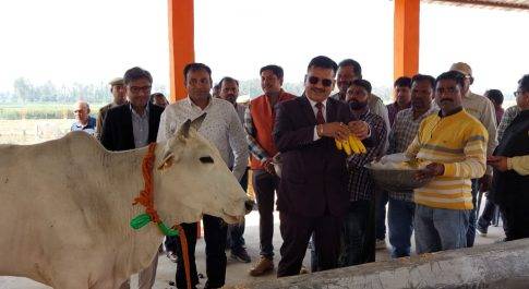 नव निर्मित गोआश्रय स्थल का डीएम ने किया शुभारम्भ