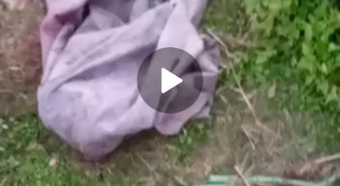 मांस बिक्री होने का वीडिओ शोशल मीडिया पर हो रहा जमकर वाइरल