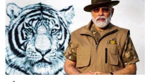 बाघ फिर भी नहीं आया