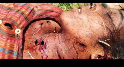 बहराइच कतर्निया वन्य जीव ककरहा क्षेत्र में बाघ के हमले में हुई विनीता की मौत