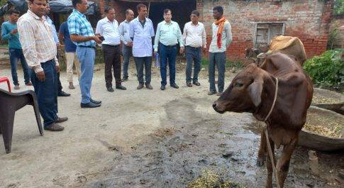 लम्पी डिज़ीज़ की रोकथाम हेतु शासन द्वारा निर्गत मानक परिचालन प्रक्रिया का कराया जाय पालन