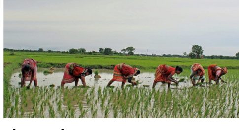 महिला खेतिहर मज़दूरों की उपेक्षित दुर्दशा