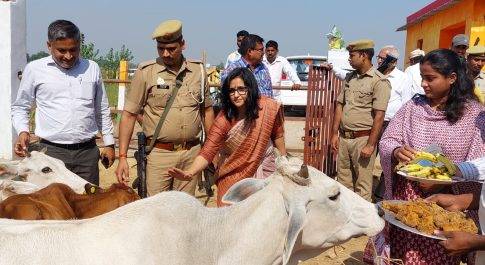 डीएम ने चित्तौरा ब्लाक के ग्राम तुरहनी रज्जब गौशाला का किया निरीक्षण