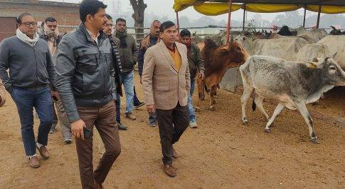 शासन द्वारा नामित नोडल अधिकारी ने गोआश्रय स्थलों का किया निरीक्षण